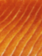 Carpaccio di salmone