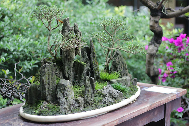 Image by Wang Xiang