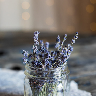 Image by Heather Ford