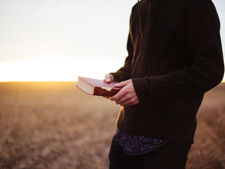 La Biblia y el mundo del Nuevo Testamento