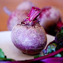 Rote Beete Bild von Image by Natalia Fogarty