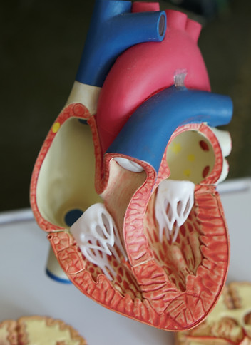 Image by Robina Weermeijer