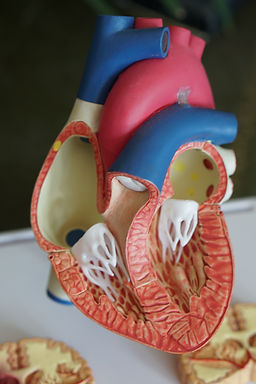 Image by Robina Weermeijer