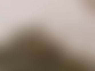 Postcard Journeys: Scotland 🏴