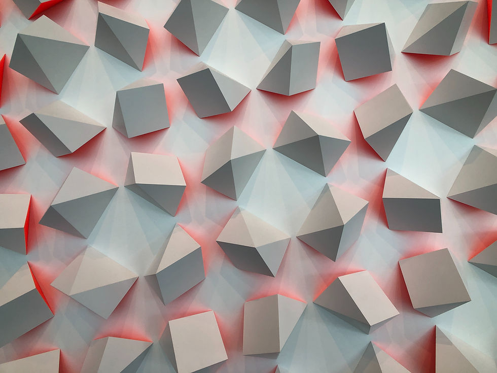 Image by Taylor Hall
