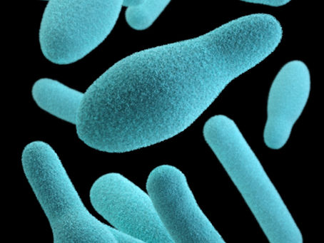 Tenancy guide to Legionella
