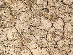 Climate refugees: Crisis the world will face, unless we unite in global action