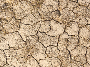 Climate refugees: Crisis the world will face, unless we unite in global action