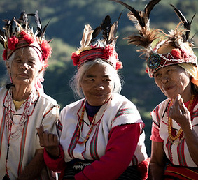 Image by Helena Pfisterer