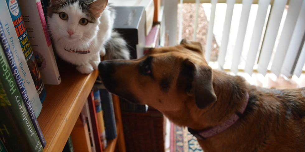 2021 Interfaith Caregivers Pet Contest