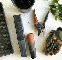 Gardening tools and gloves
