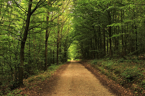 Image by Lucie Hošová