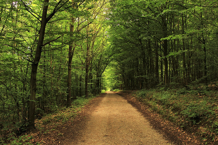 Image by Lucie Hošová