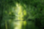 Image by Nils Leonhardt