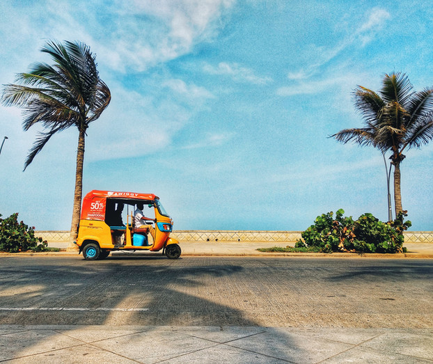Tuk-tuk sulla strada costiera del tamil nadu con palme e cielo azzurro, India del Sud
