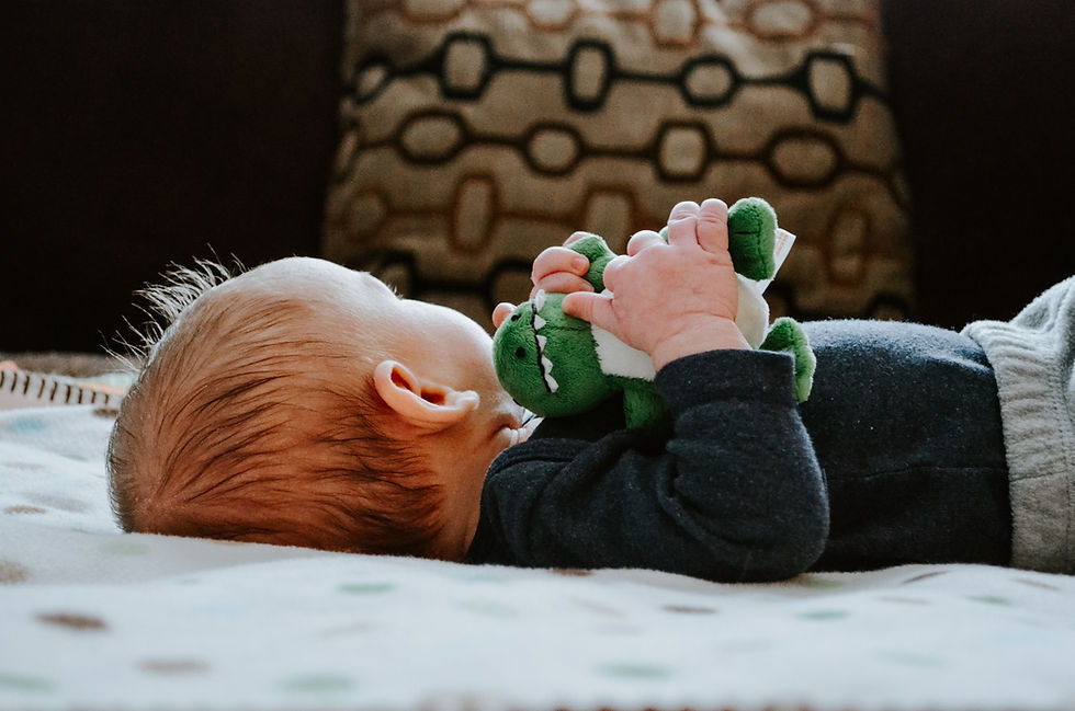 Vancouver Sleep Consultant