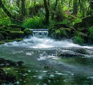 Image by Juan Gomez