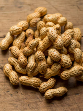 Fecal Transplant Pils Help with Peanut Allergy