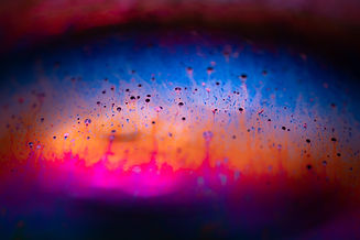 Image by Ashley Smith