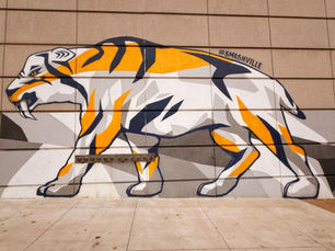 Top 10 Chants to Yell at a Nashville Predators Hockey Game