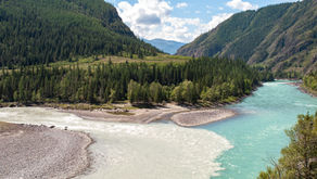 Muddy AI data vs. Verified data