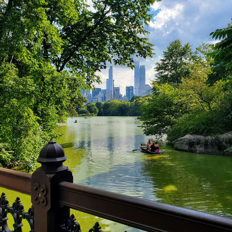 A serene view of Central Park's lake with a calm boat ride, framed by lush greenery and the iconic New York City skyline in the background.