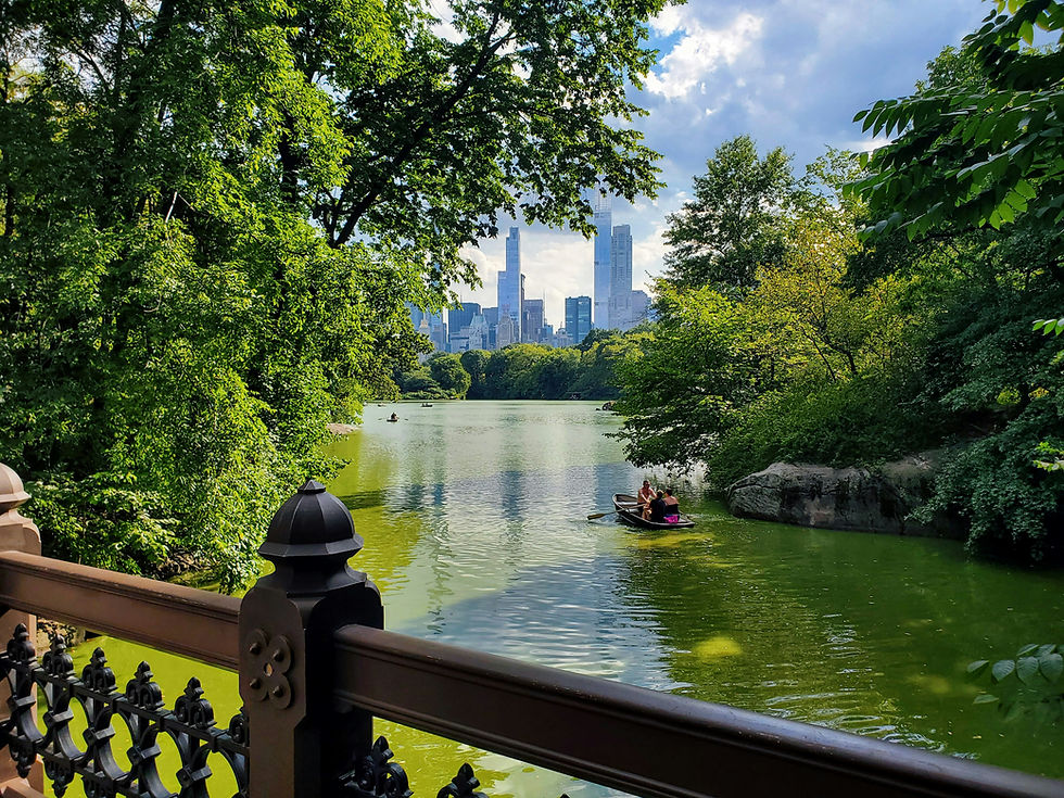 A serene view of Central Park's lake with a calm boat ride, framed by lush greenery and the iconic New York City skyline in the background.