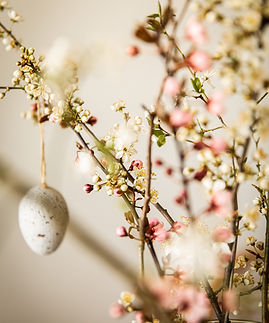 Image by Kaja Reichardt