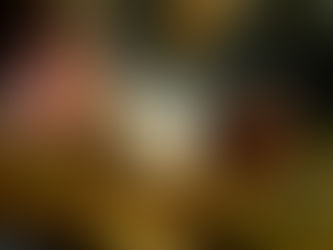 Mochi: How Rice Becomes Elastic