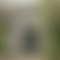 What happens when you refinance your home loan?