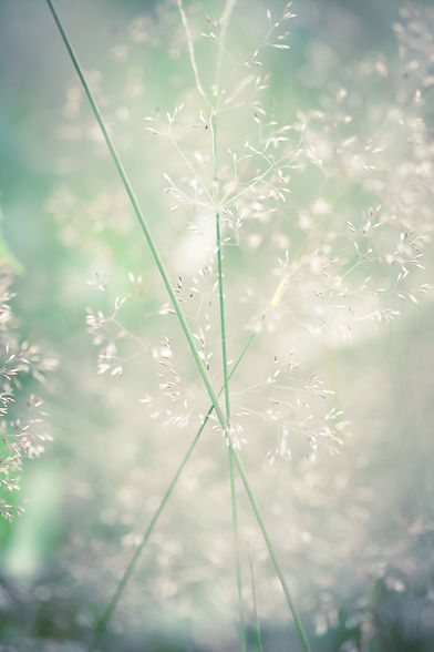 Image by Manuel Bartsch