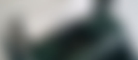 News Media, Fake News and Propaganda