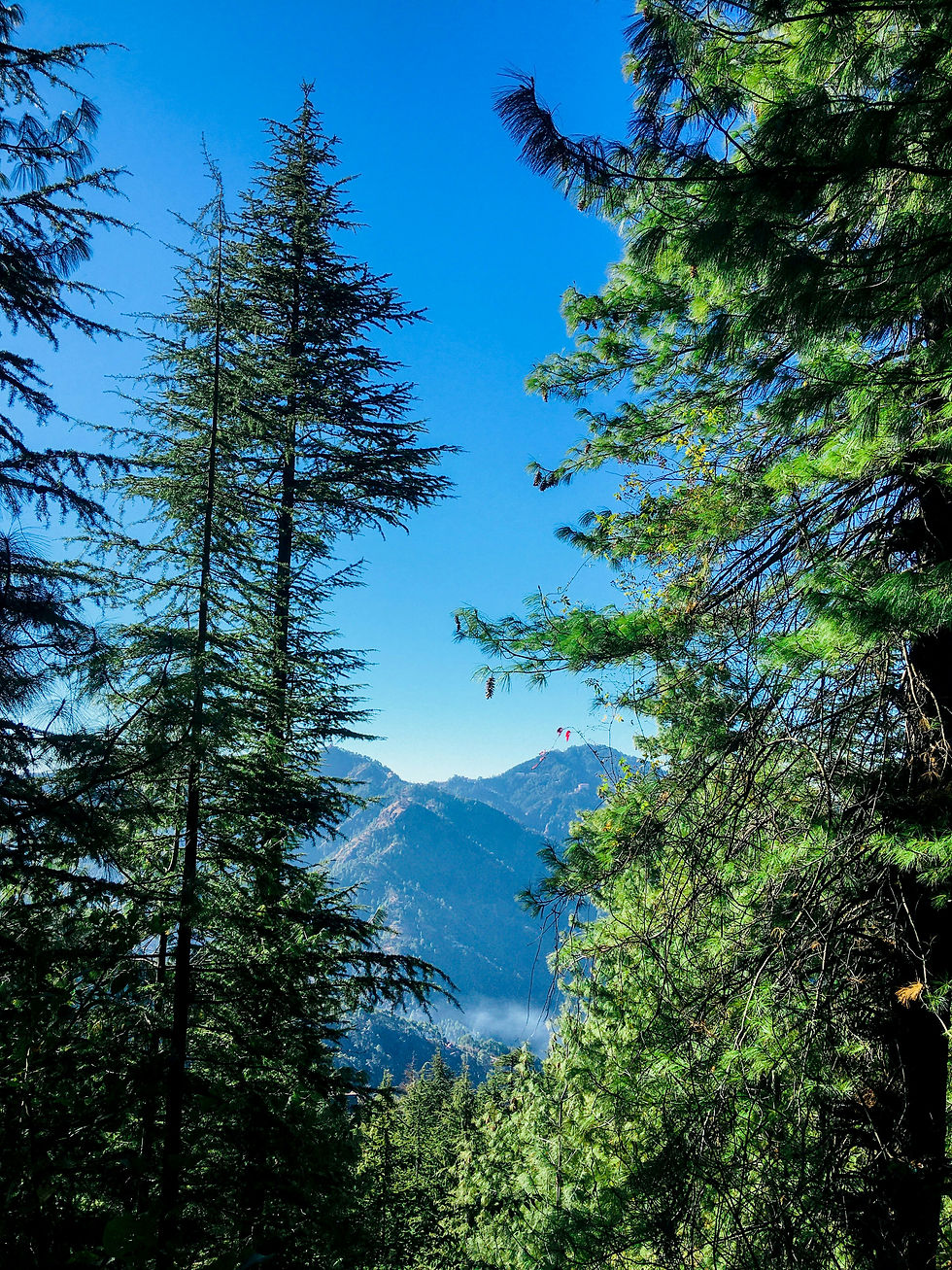 Valley View