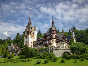 A sunlit view of the grand Peleș Castle in Romania from a low angle. The castle, with its white and brown timber-framed walls, numerous turrets, and a prominent clock tower, sits majestically on a vibrant green slope, enveloped by a dense, dark green forest under a blue sky with scattered clouds