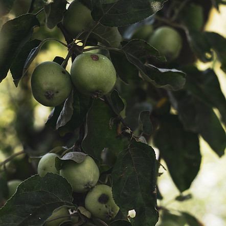 Image by Uliana Kopanytsia