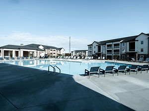 Image by Zac Gudakov