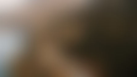 A Kiss from Rose | Inheritance