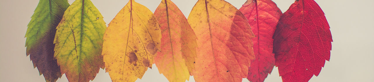 Embracing Change