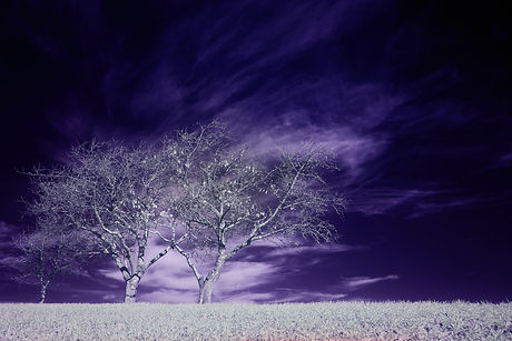 Image by Wolfgang Hasselmann