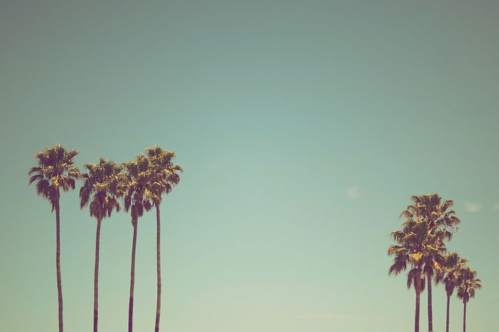 Image by Ev