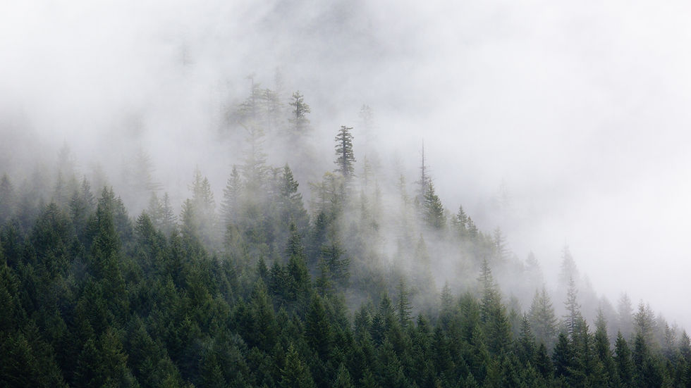 Image by Dave Hoefler