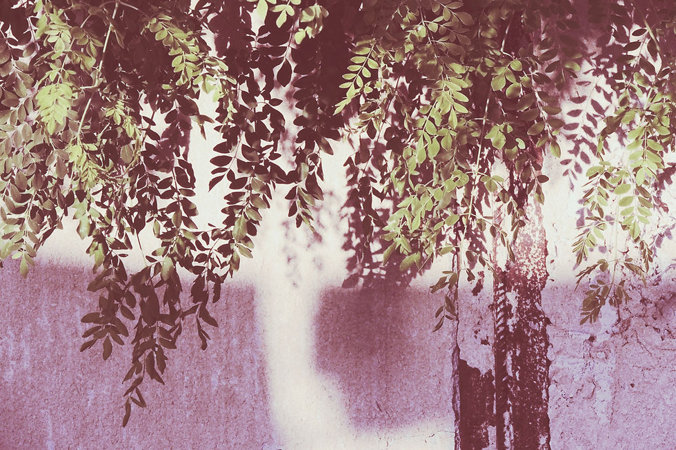 Image by Qurratul Ayin Sadia