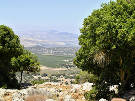 He Didn’t Have to — But He Did