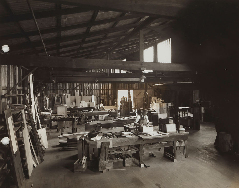 Image by Museums Victoria