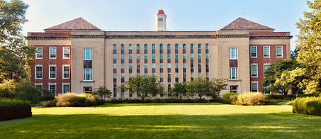 Image by Michael Marsh