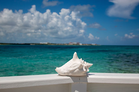 Image by Michael Marcon
