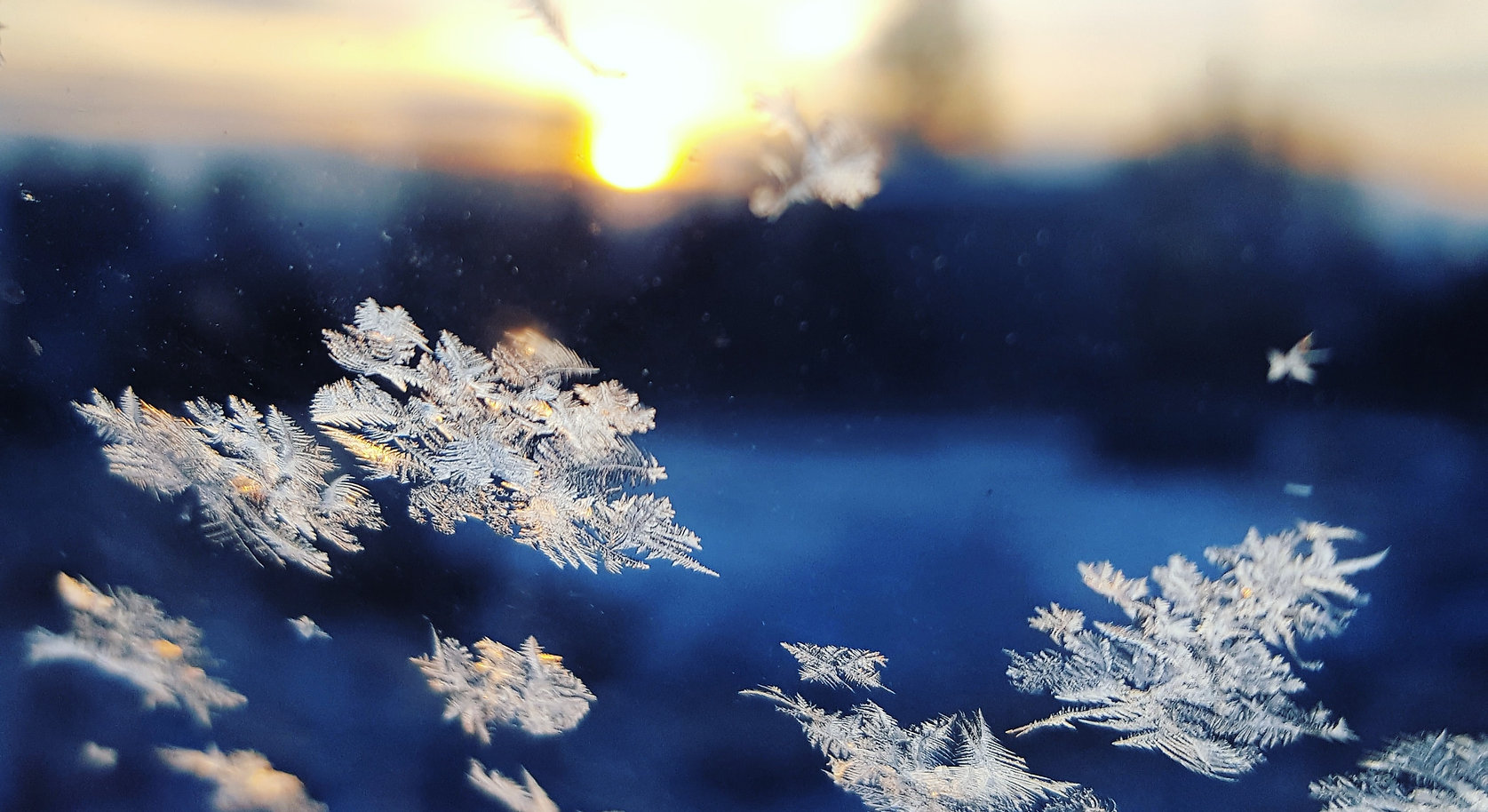 Image de Kacper Szczechla
