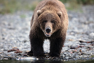 Alaska Small Business Health Insurance