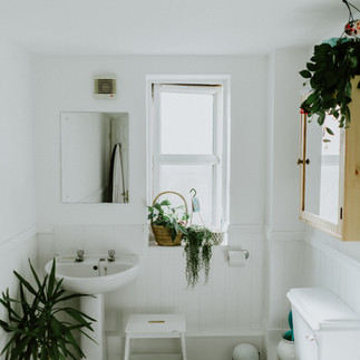 Bright, white bathroom with toilet, sink and potted plants for a touch of greenery, creating a fresh, soothing ambience.