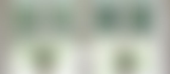 This Week From A Different Perspective